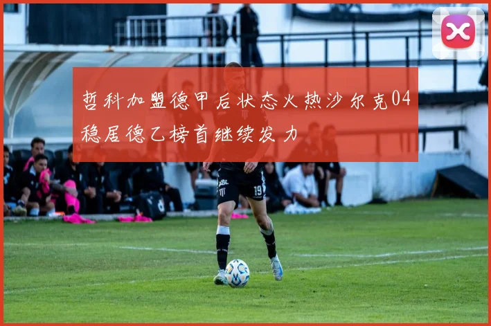 哲科加盟德甲后状态火热沙尔克04稳居德乙榜首继续发力