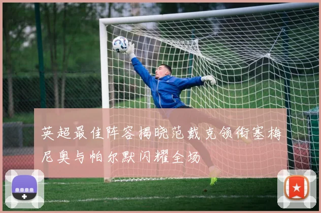 英超最佳阵容揭晓范戴克领衔塞梅尼奥与帕尔默闪耀全场