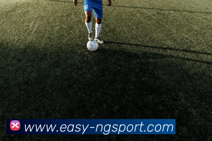 南宫体育APP 封面图